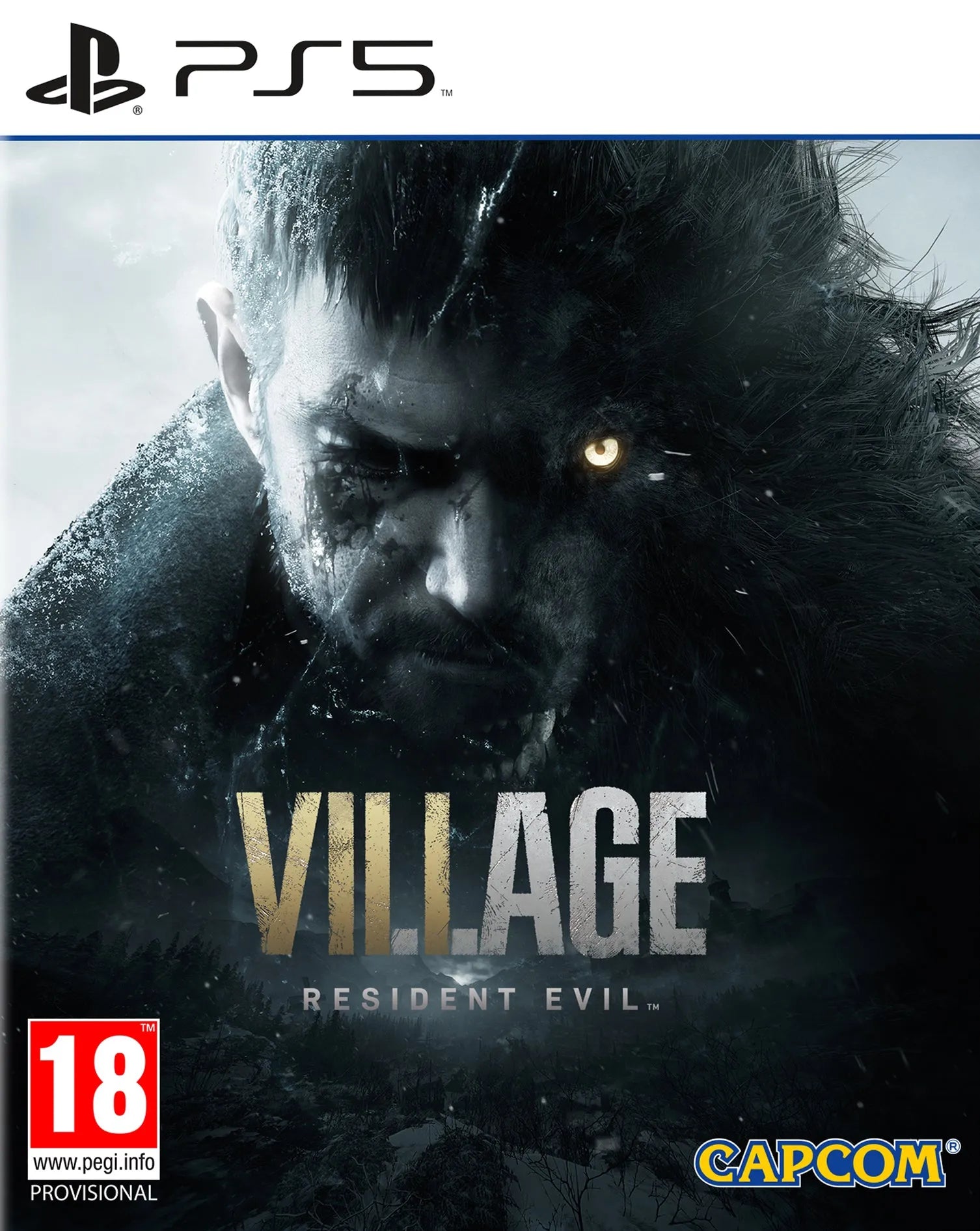 RESIDENT EVIL VILLAGE