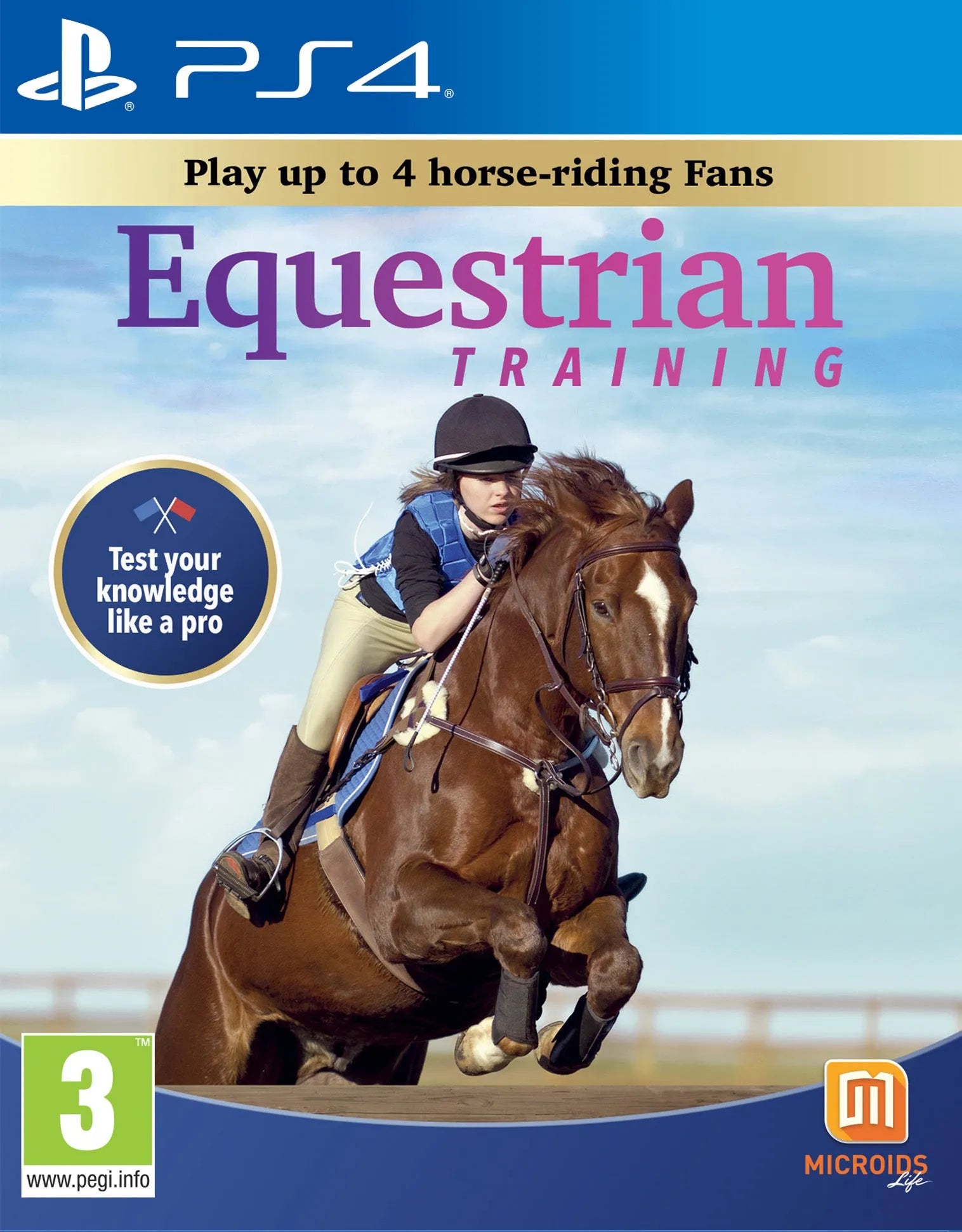EQUESTRIAN TRAINING
