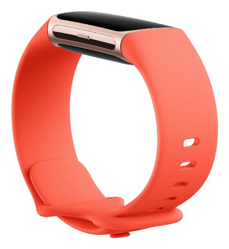 Fitbit Charge 6 AMOLED Wristband activity tracker Champagne, Gold