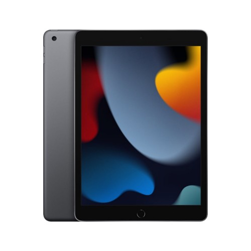 Apple iPad 9th Gen 10.2in Wi-Fi 64GB - Grey