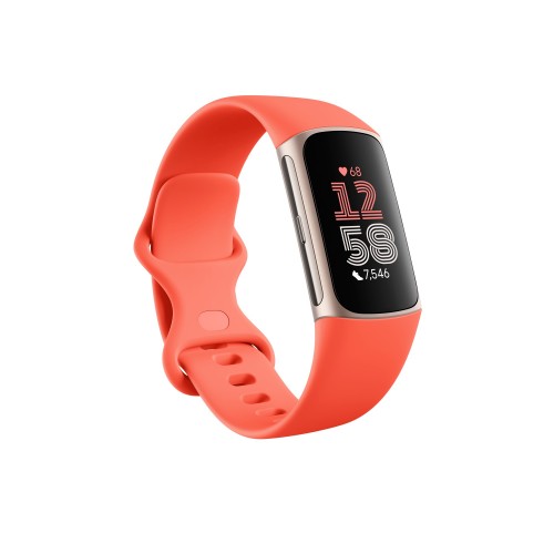 Fitbit Charge 6 AMOLED Wristband activity tracker Black